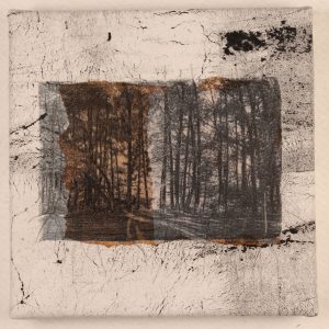 PatDaRif, "Memory of Trees," Fiber, 10" x 10" x 1.5," 2019