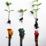 Exploring Natural Plant Pigments Workshop